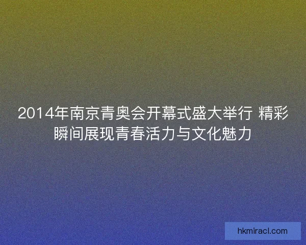 2014年南京青奥会开幕式盛大举行 精彩瞬间展现青春活力与文化魅力