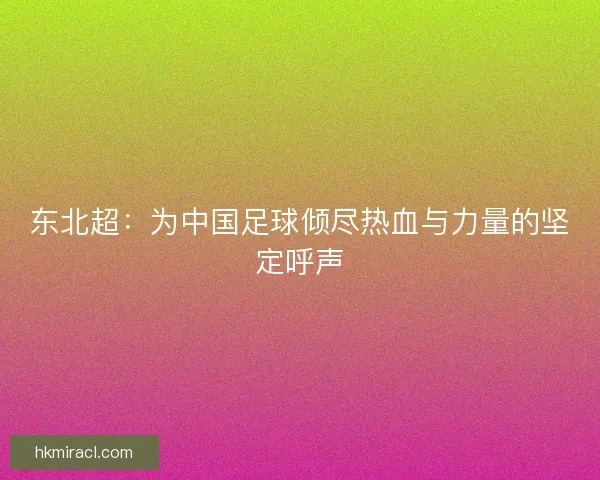 东北超：为中国足球倾尽热血与力量的坚定呼声